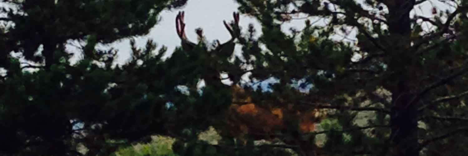 MeganFryda's profile banner image