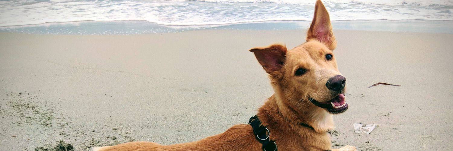JBolivarZ's profile banner image
