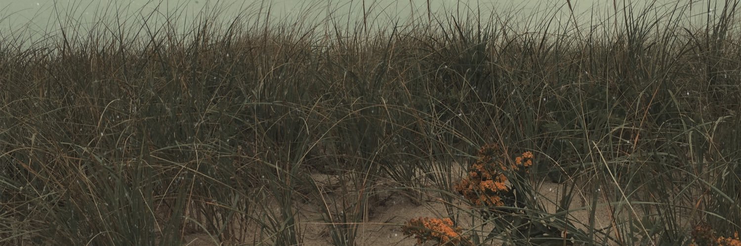 shanonelise's profile banner image