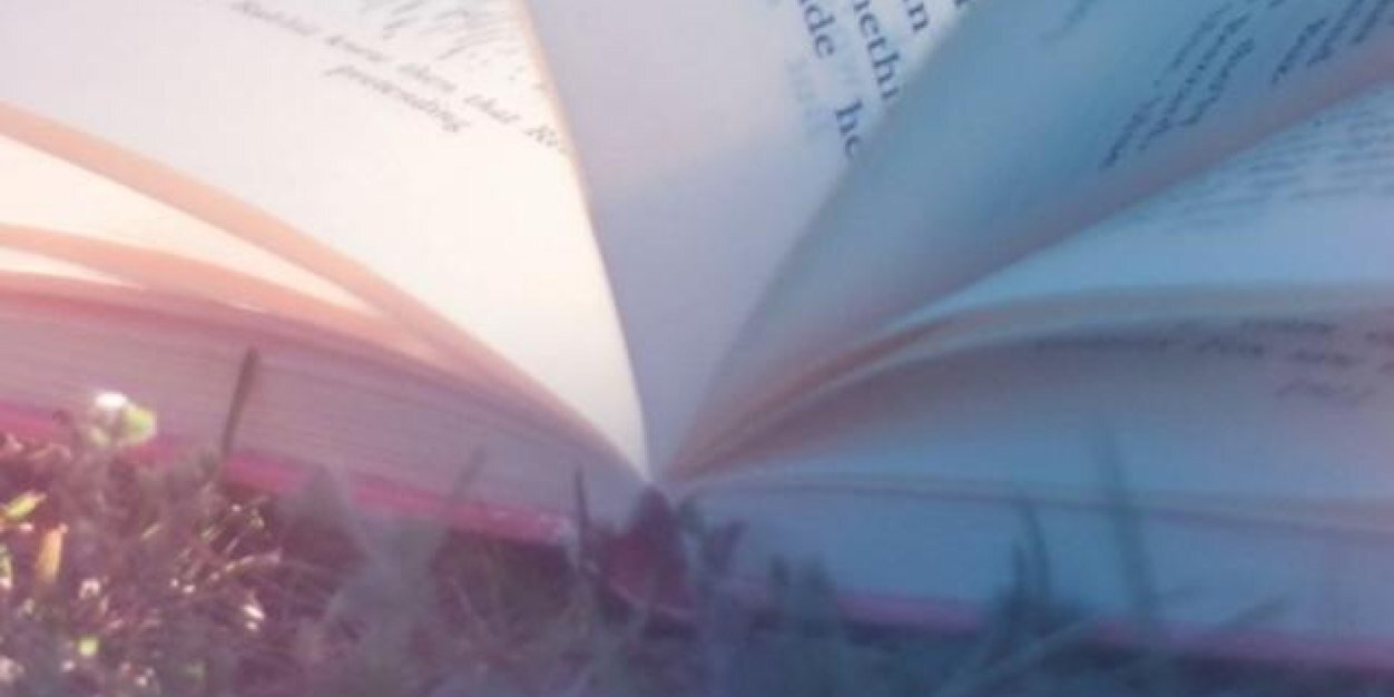 Brady_Bookworm's profile banner image