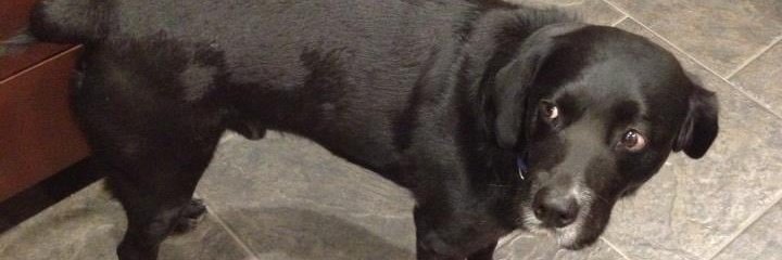 Travis M. Baker 🌹🇺🇸 banner