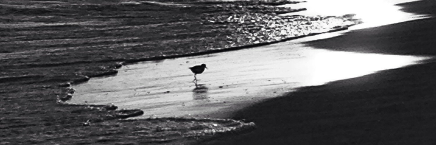 rowltyde12's profile banner image