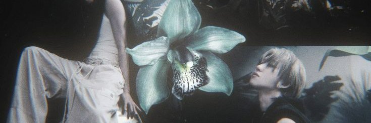 𝒽𝒶𝑜𝓋𝓋𝓋𝒾𝑒𝓁𝓊𝓋 banner