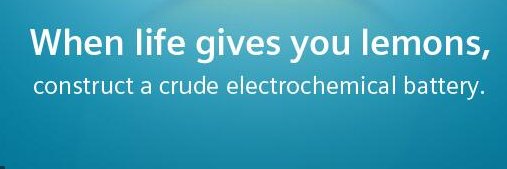 shannon hansen banner