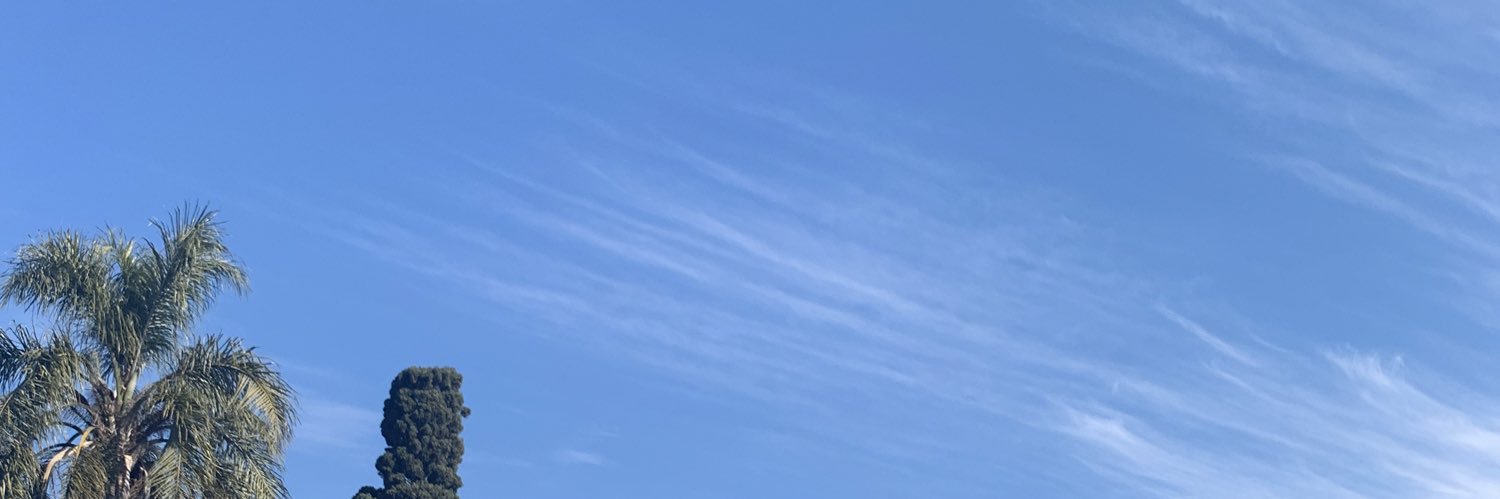 barbiberman's profile banner image