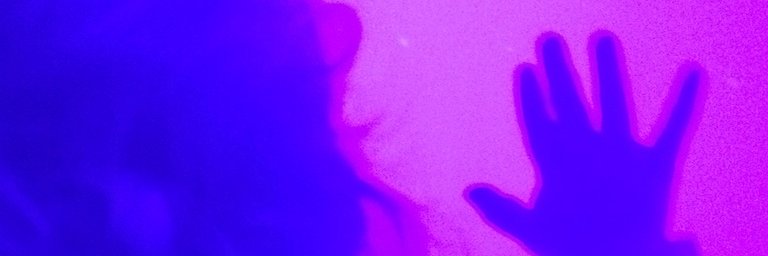 Amelia DeFalco banner