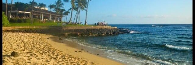 AlohaBeachBums's profile banner image
