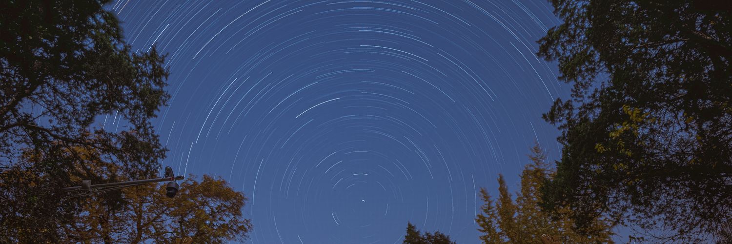 falling_maples_'s profile banner image