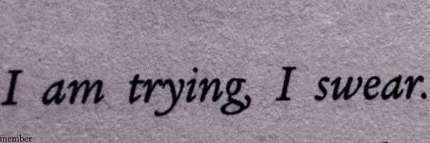 Sea Djamettè banner