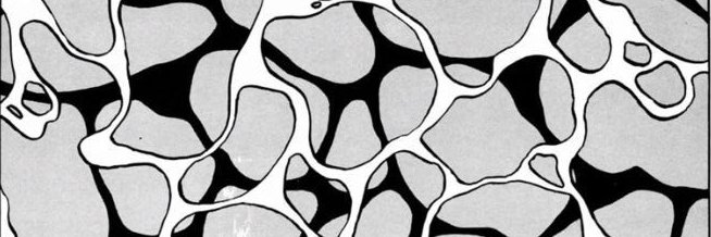 Sebastian Castillo banner