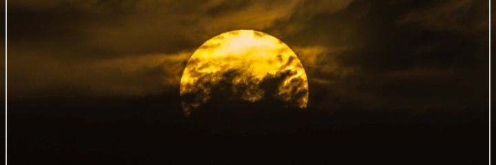penguendemir's profile banner image