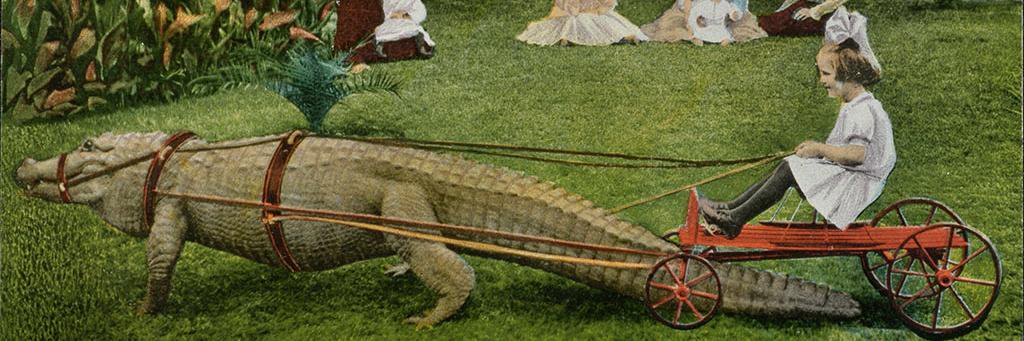 L I L Y B H A N D A R I banner