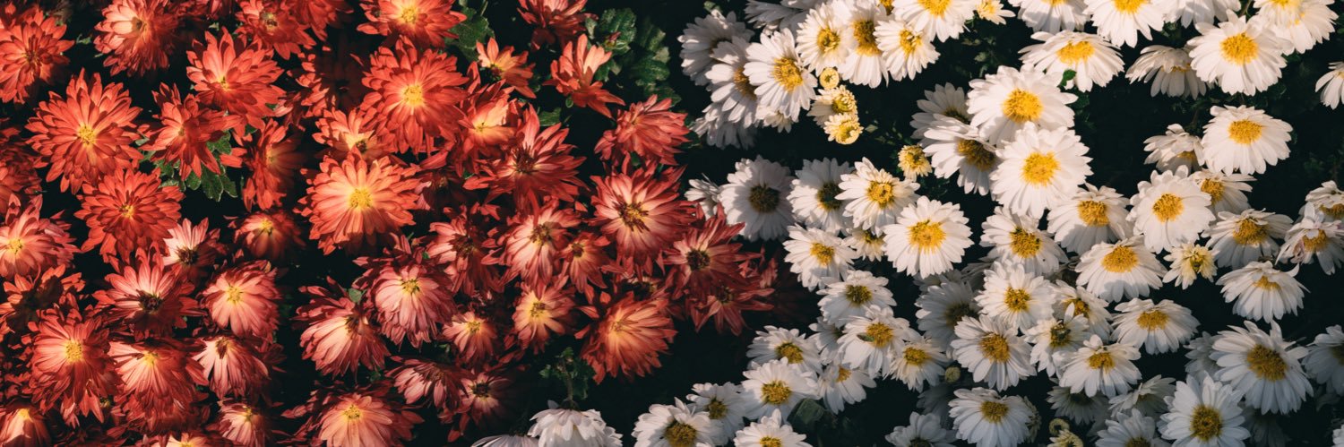 右のShiftキー banner