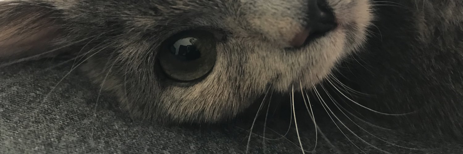 emineince08's profile banner image