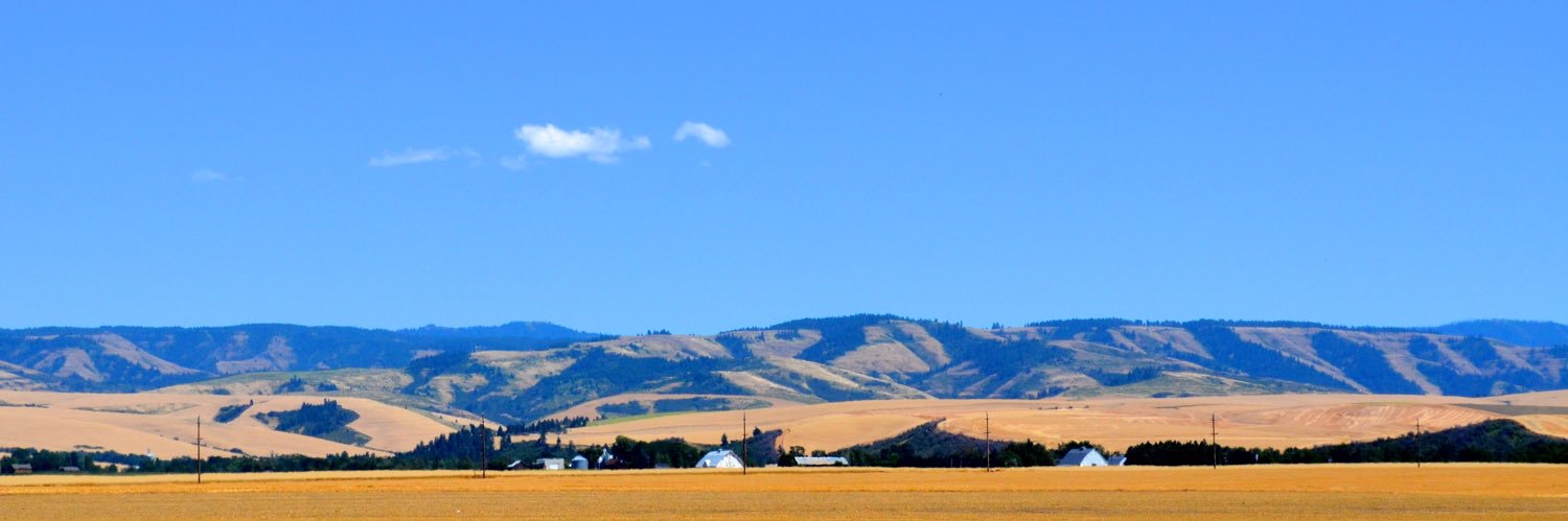 sewoolley's profile banner image