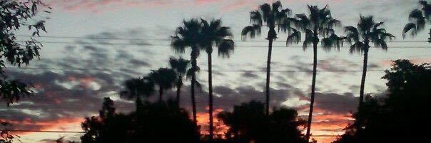 AZ Somebody - ❤️ 🇺🇸 💙 🌎 🇺🇦 banner