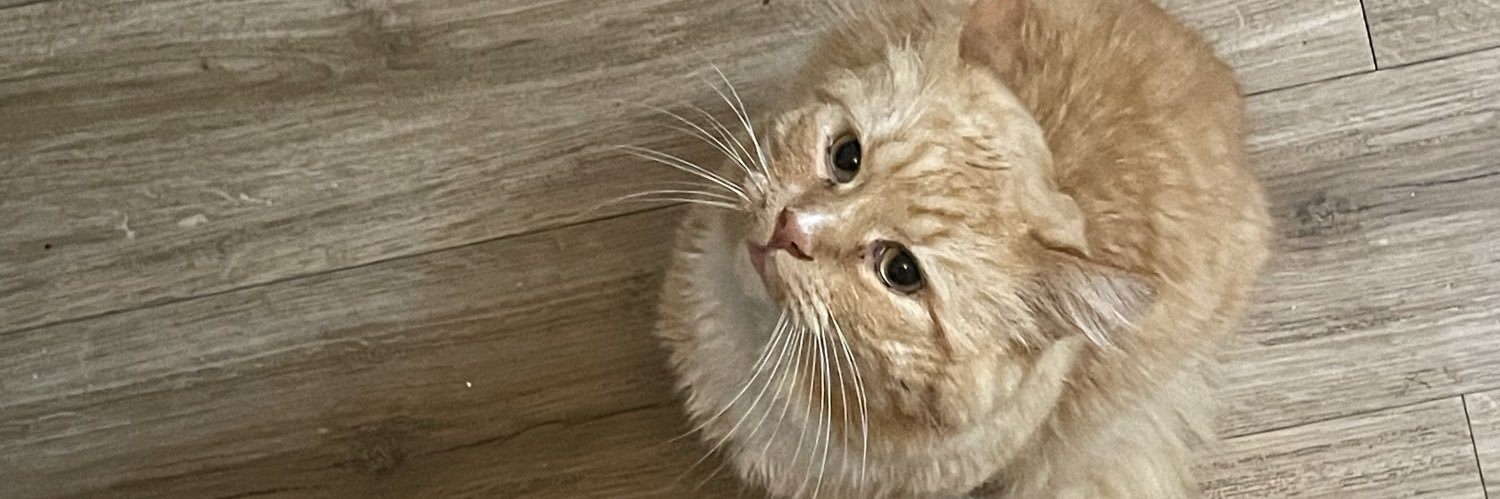 orangewoodsie's profile banner image