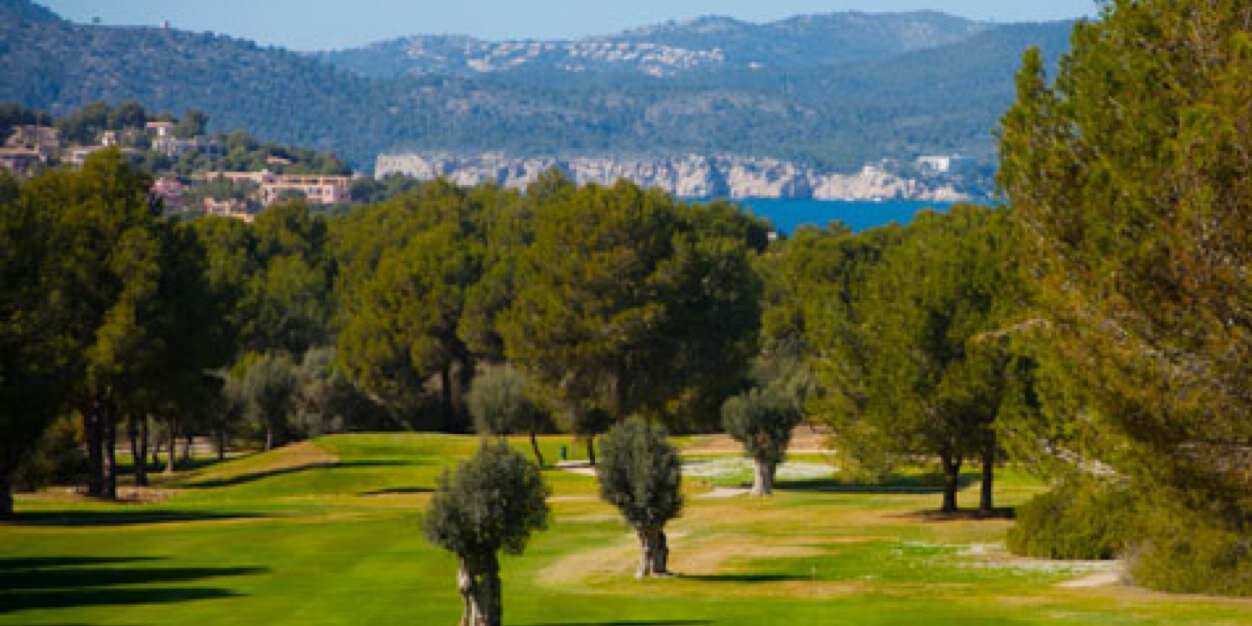 LUX The Golf Guide banner