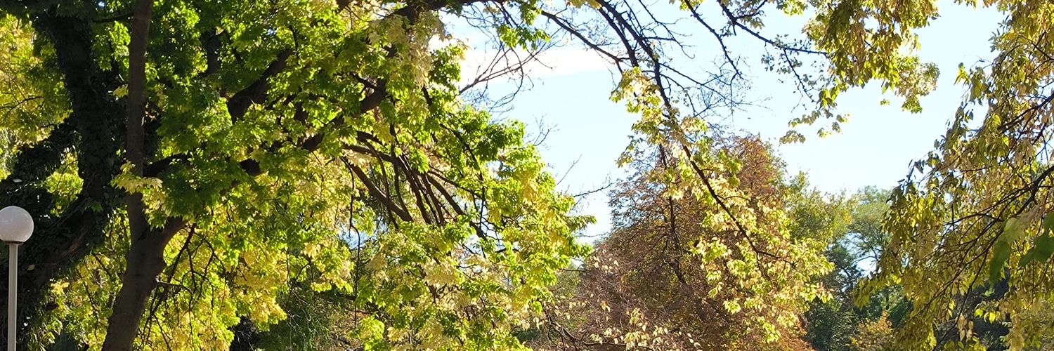 nadka1807's profile banner image