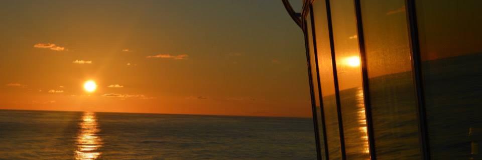 mmilvae's profile banner image