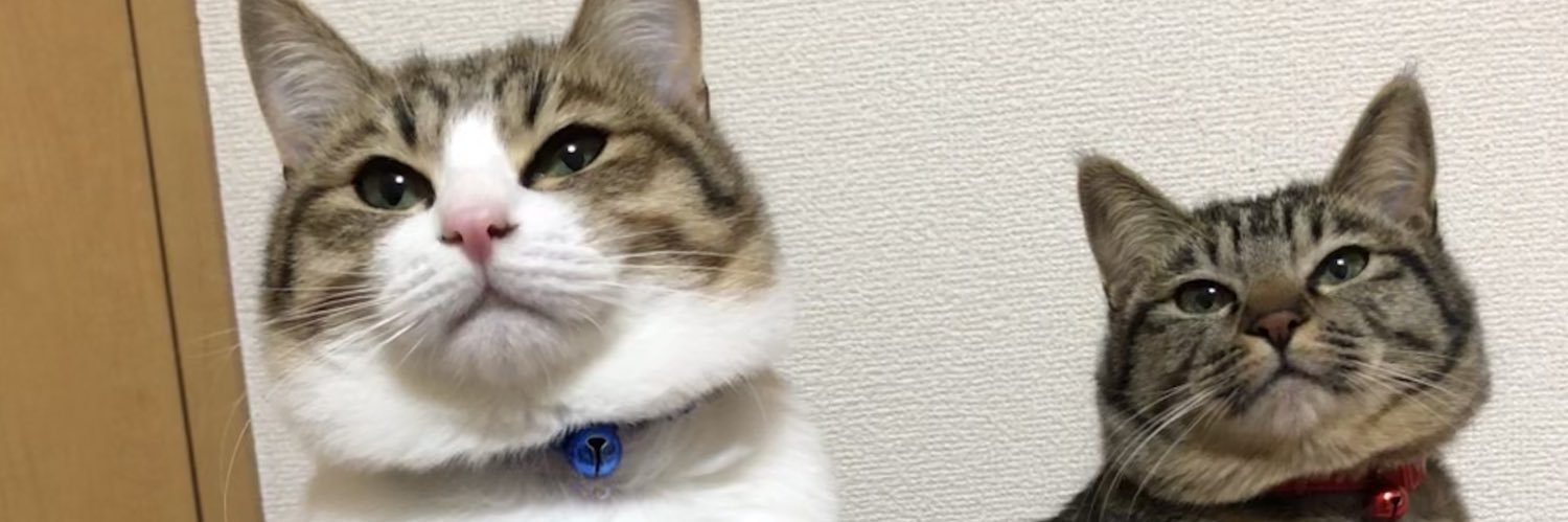 HiRoKi_Chaser's profile banner image