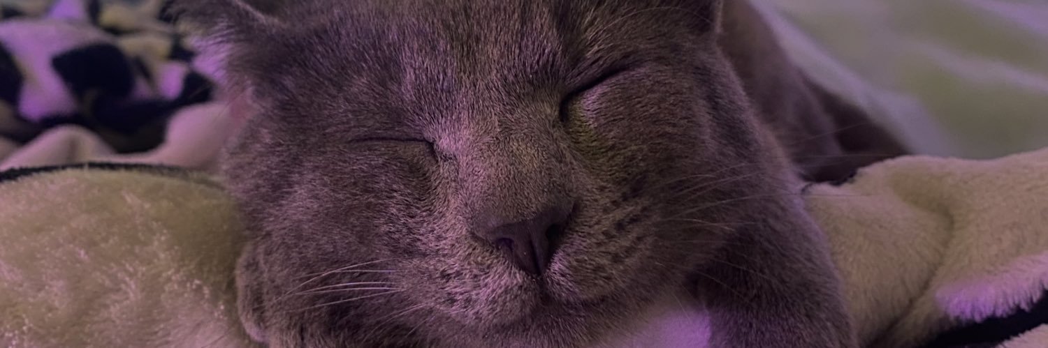CaroGanzer's profile banner image