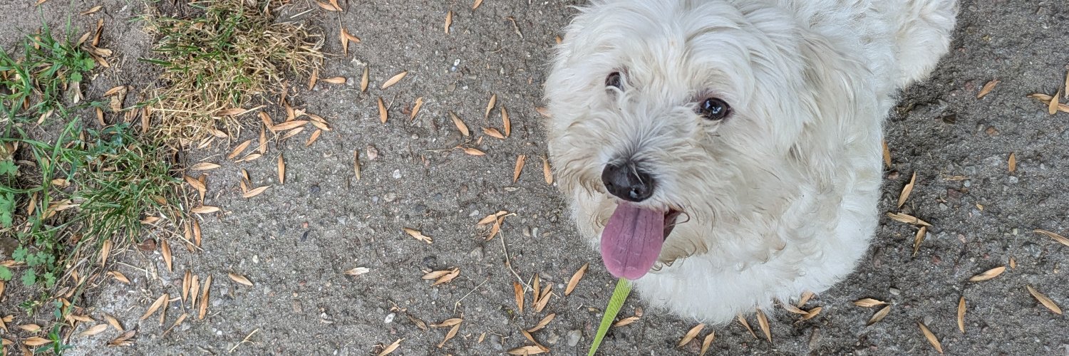 Marion Morgenstern banner