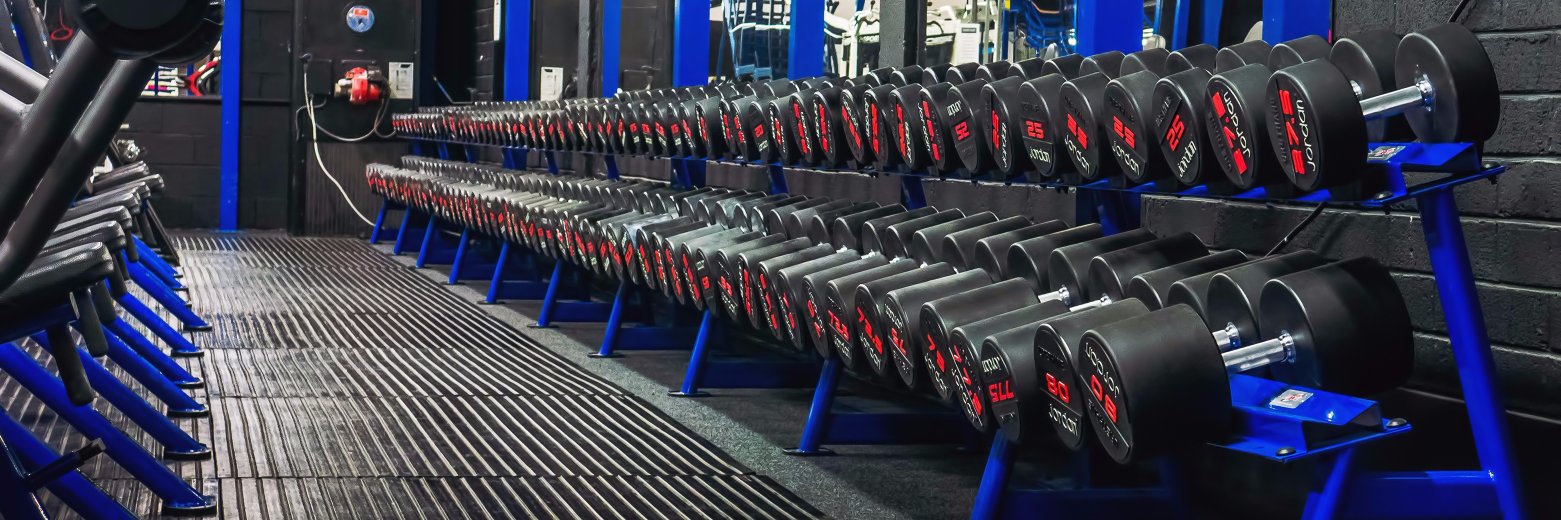 SouthStrength's profile banner image