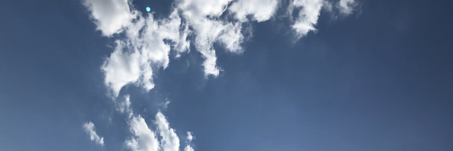 crystalyttwin's profile banner image