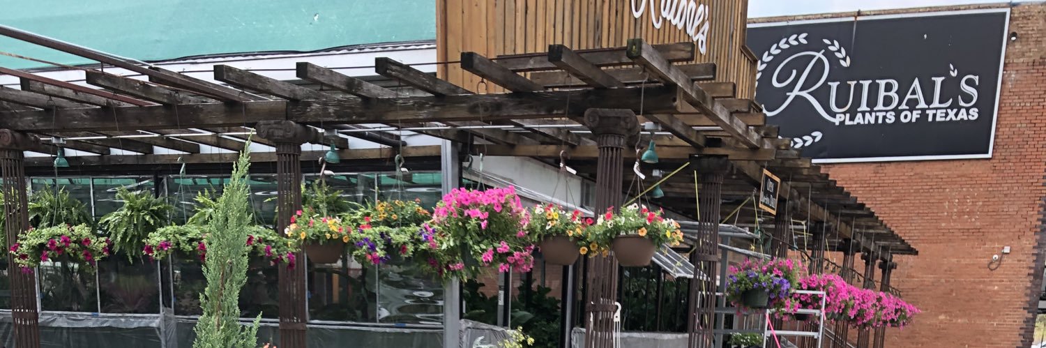 RuibalsPlants's profile banner image