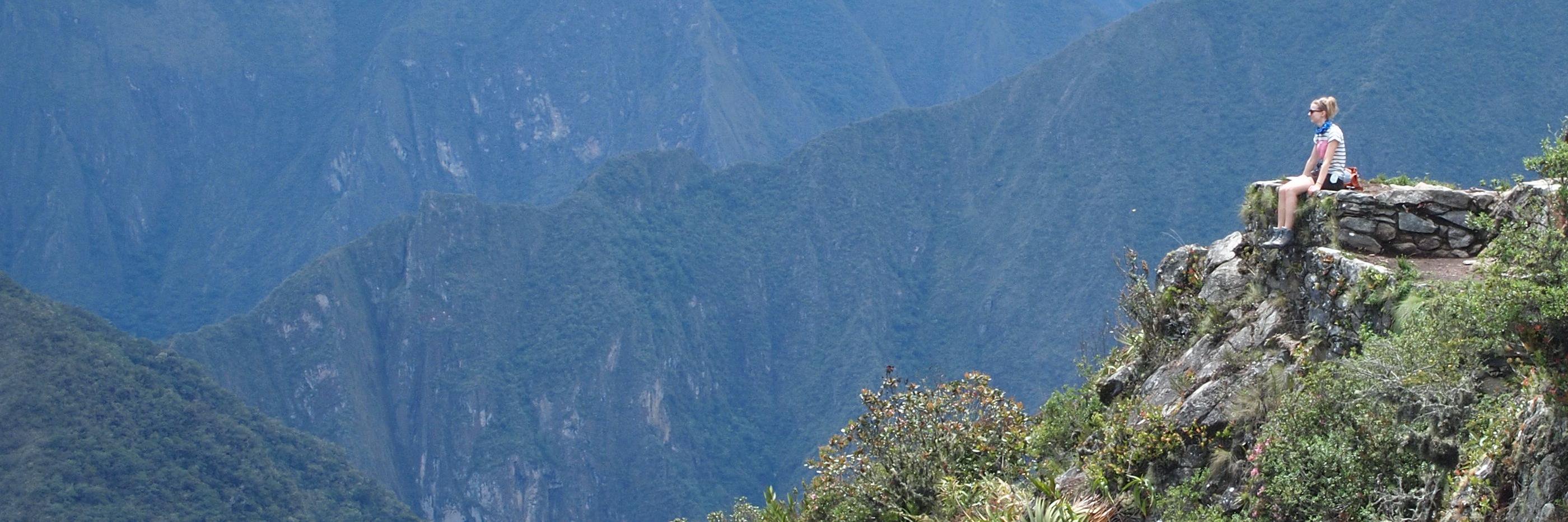 Katrin Altosaar banner