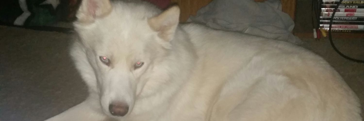 bigkitos4u's profile banner image