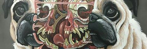 NahguB's profile banner image