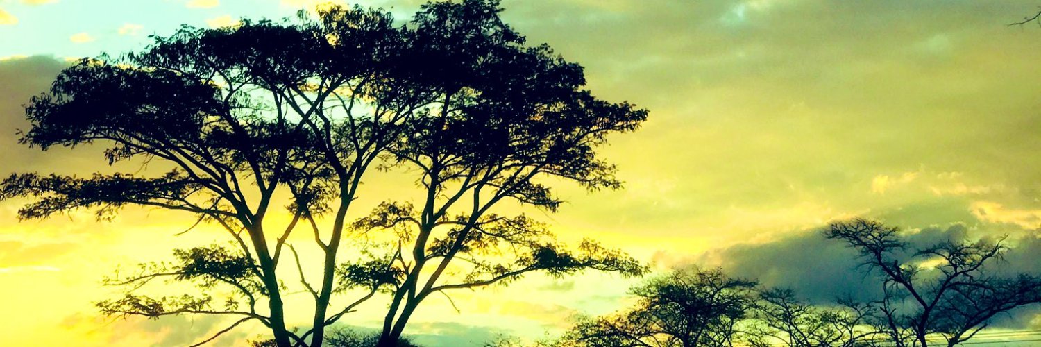 TheLitunga's profile banner image