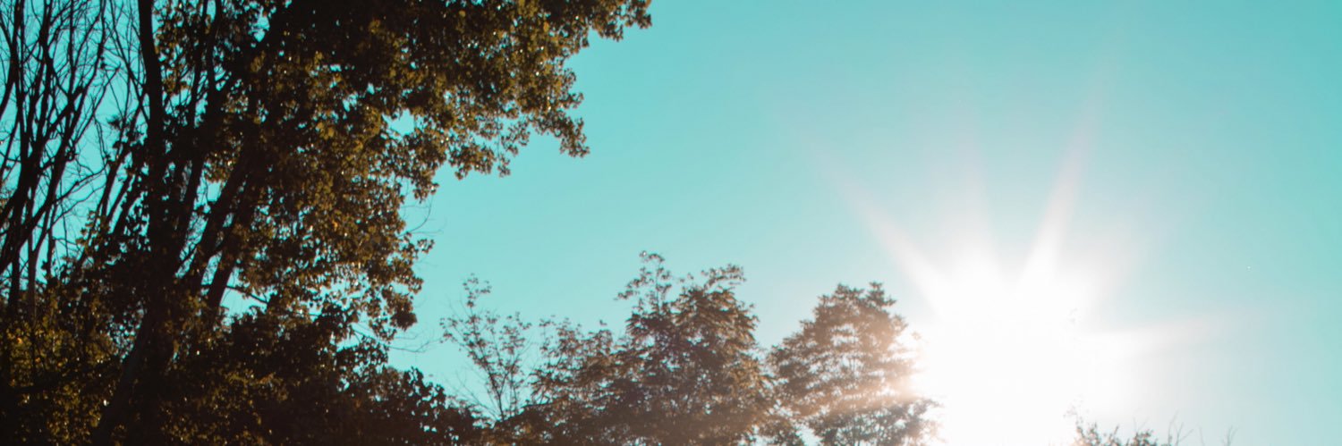 annikabschmitt's profile banner image