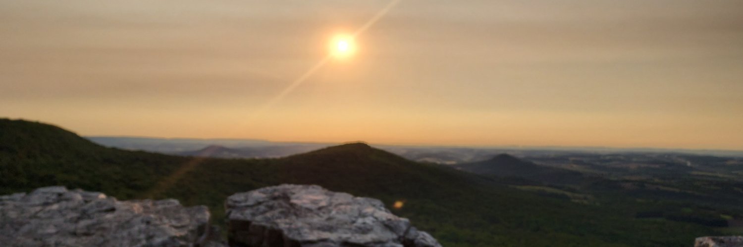 Orpheus - John Fournier banner