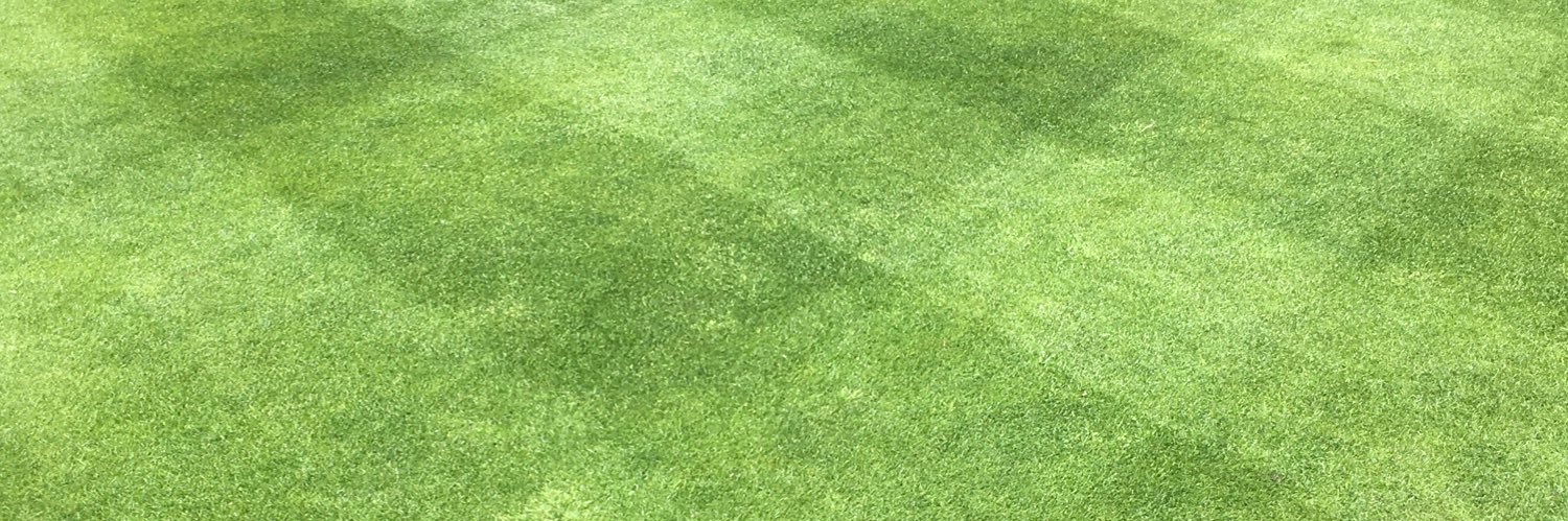 PukkaTurf's profile banner image