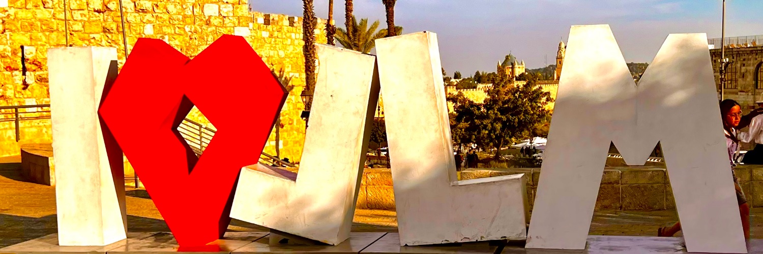 Michal/Michele -מיכל✡️🟦🎗️ banner