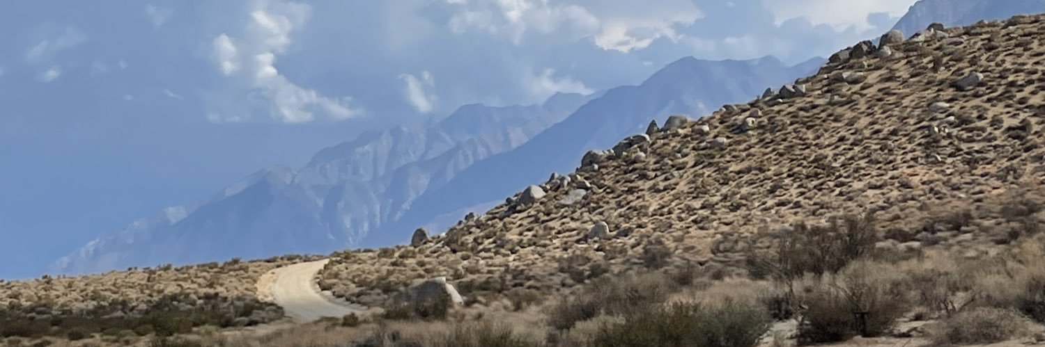 Shayla Houlihan banner