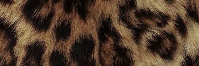 dubadoobee's profile banner image