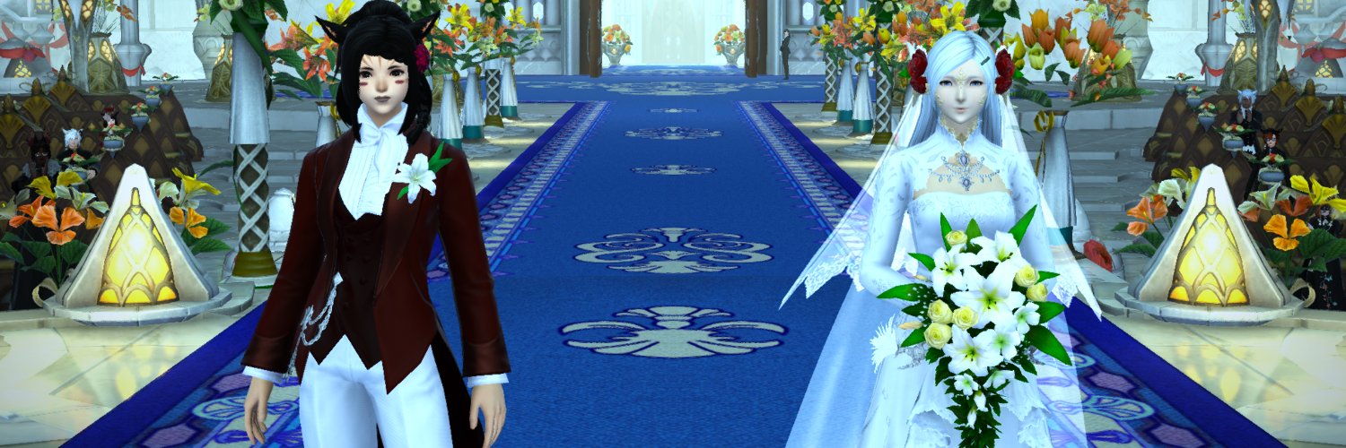 Aria's banner