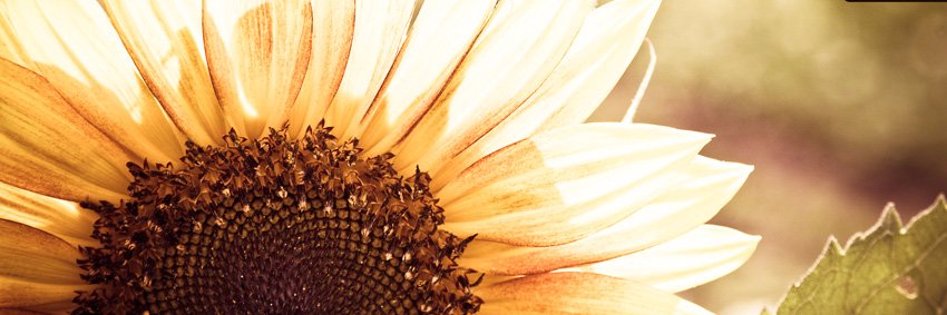 Mrs_KBroughton's profile banner image