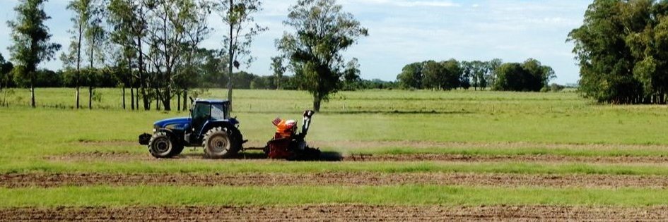 Pablo Ribeiro 🇧🇷🇩🇪 banner