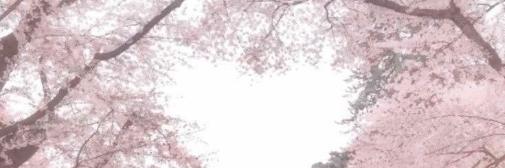 voymajam banner
