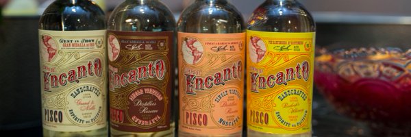 EncantoPisco Profile Banner