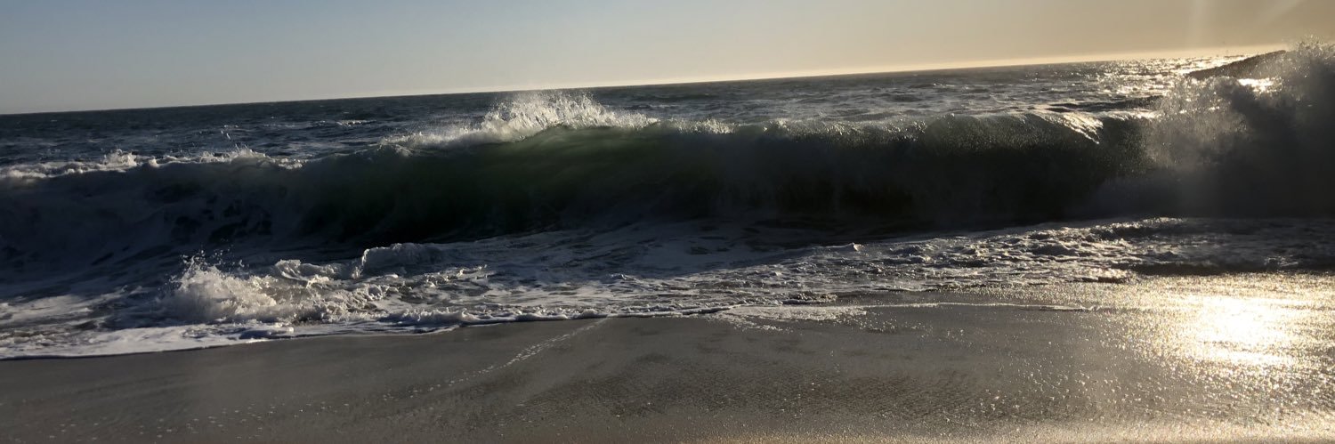 Brady Lindberg banner