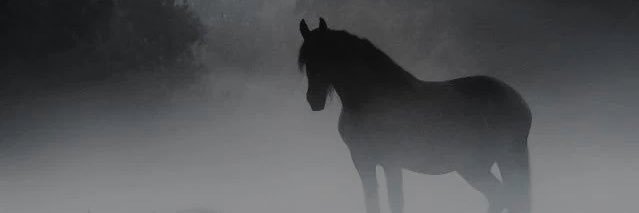 D3KATRIA's profile banner image