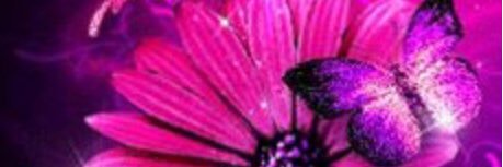 Jessica26Norris's profile banner image