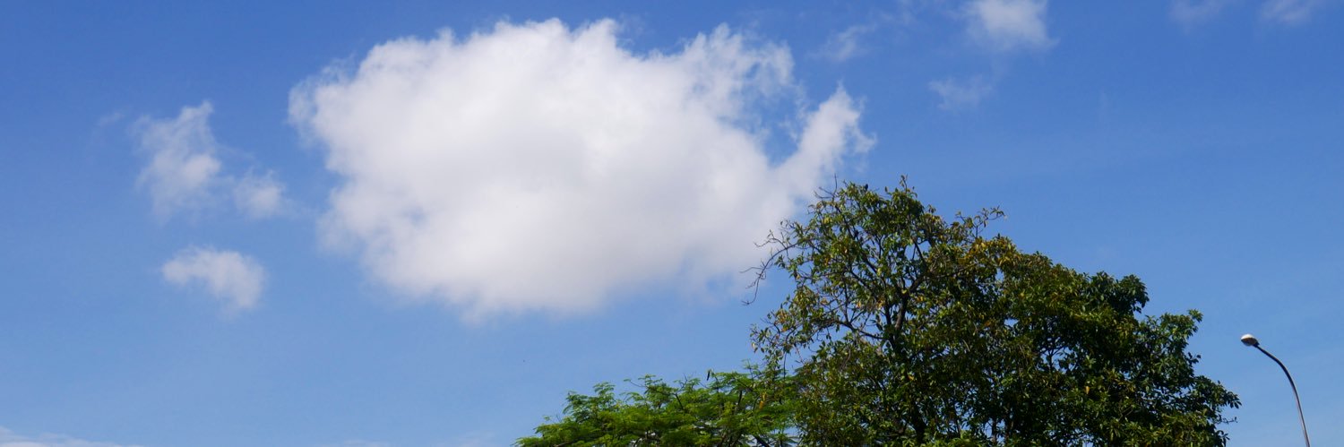 _ogk_'s profile banner image