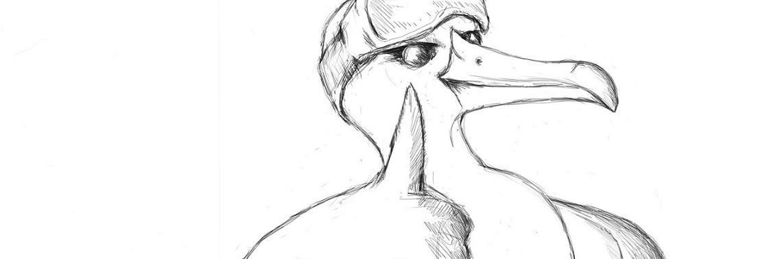 EvilAlbatrossTV's profile banner image